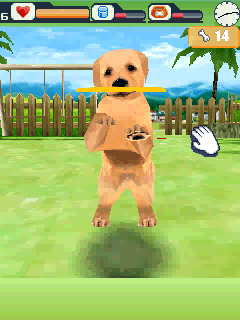dogz