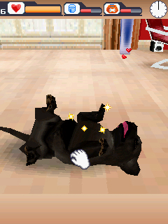 dogs